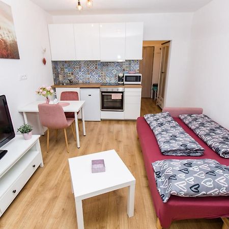Apartment Near The Ondrej Nepela Winter Stadium 布拉迪斯拉发 外观 照片